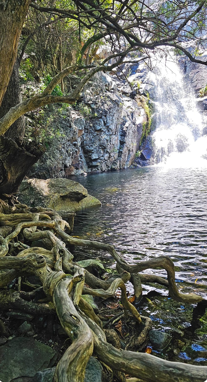 Reliable private transfer to Hoedspruit Eastgate Airport HDS